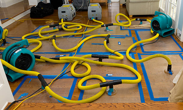 Professional Emergency Water Removal technician working in Worthville, KY